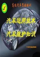 高級汽車駕駛培訓課程精要 從安全意識到卓越操控